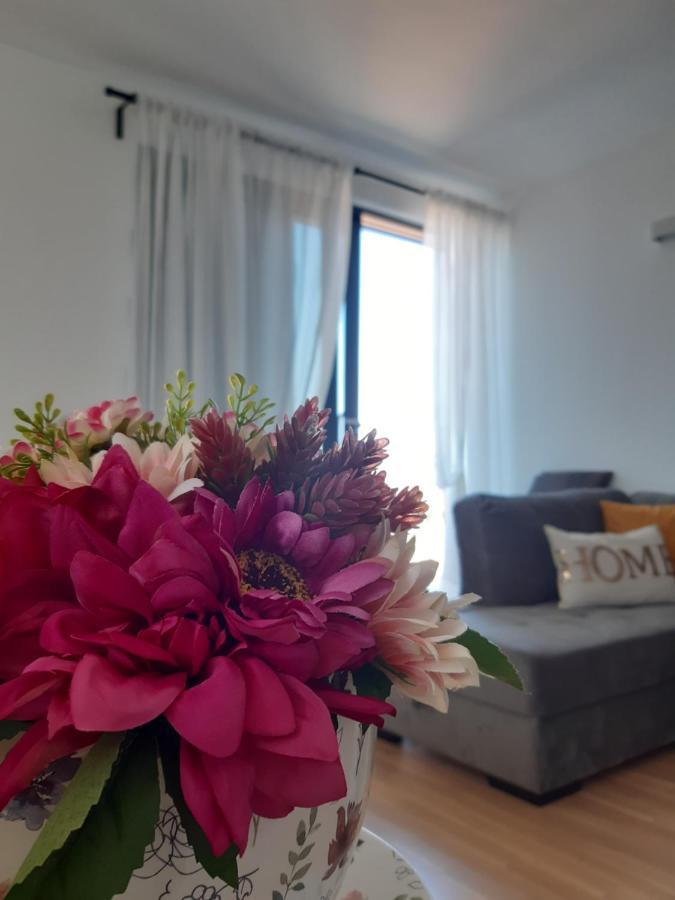 Apartment Lusi *